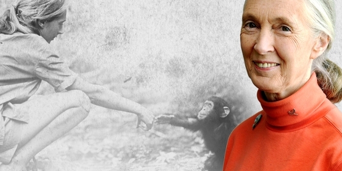Jane Goodall
