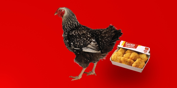 Van kip naar mcnuggets