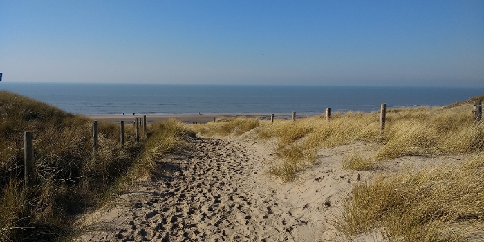 Foto strand