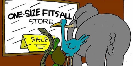 afbeelding One size fits all