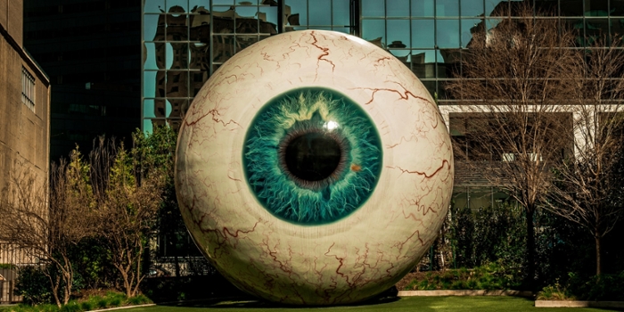 Het oog dat alles ziet
