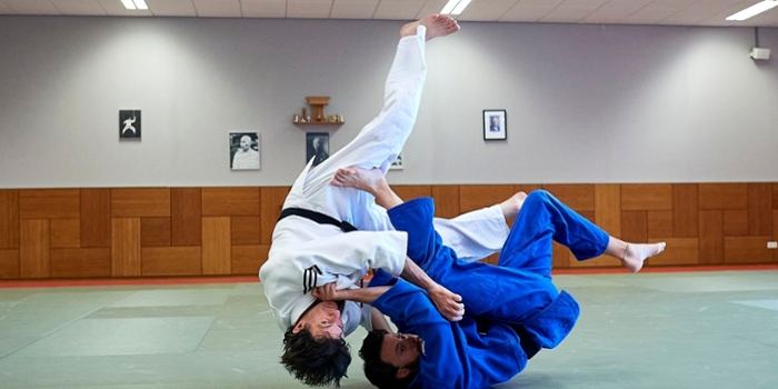 Thijs Mensink en Serge Mensink ALO judo