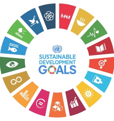 logo SDG cirkel