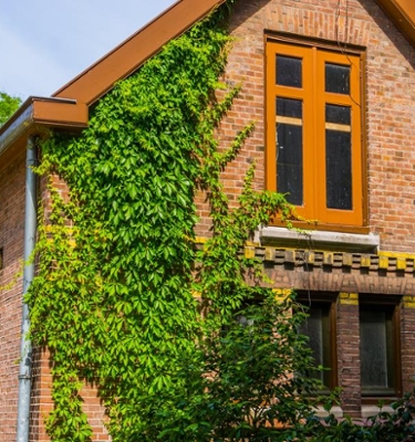 Klimaatadaptatie boom