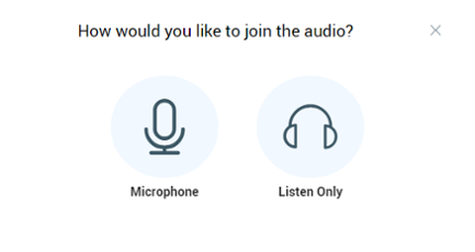 Mic or listen only