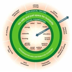 Toepassing donut economie