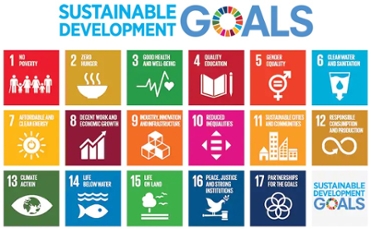 Overzicht van SDG Goals