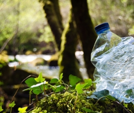 Plastic fles ligt in het groen - Onderzoeksproject Duurzaam duurzaam