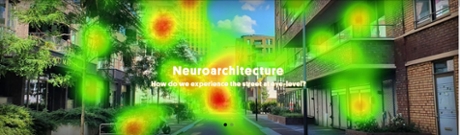 Neuroarchitectuur